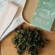 Raw Dog Food - vegetable