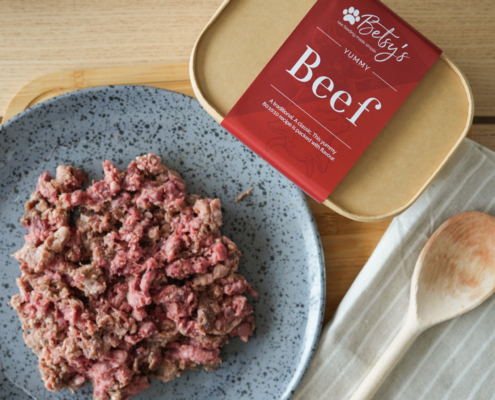Raw Dog Food - beef