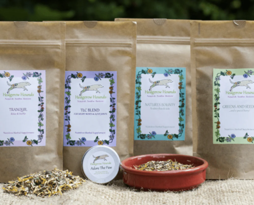 Adding herbs to your dogs diet